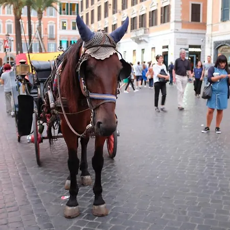 Joivy Trevi Fountain's Relais Lejlighed